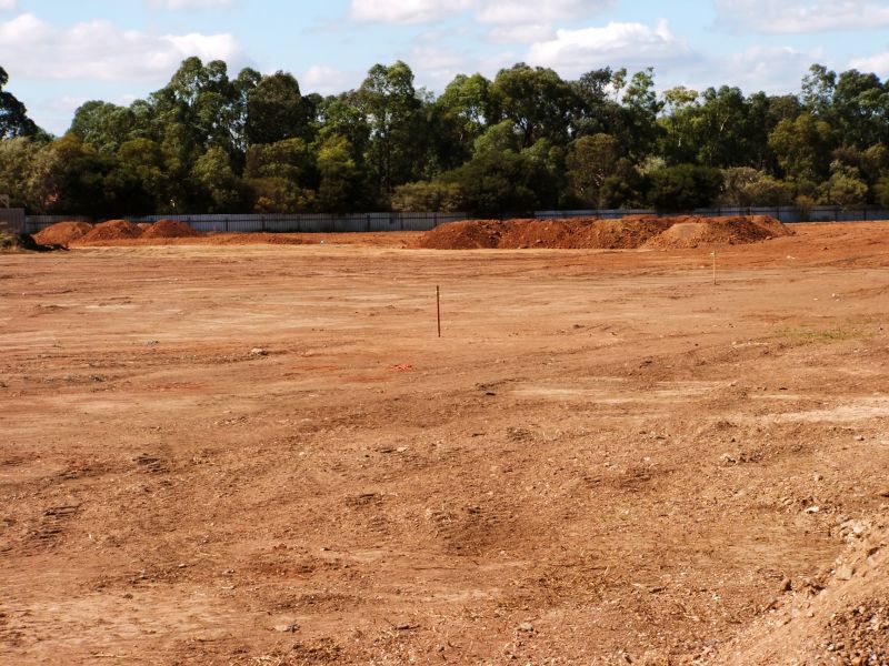 Site Grading and Preparation