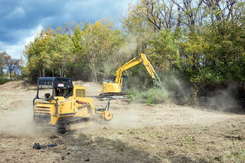 Timing for Land Clearing Projects