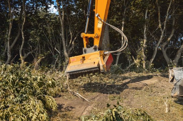 Brush Removal Service in Clearfield