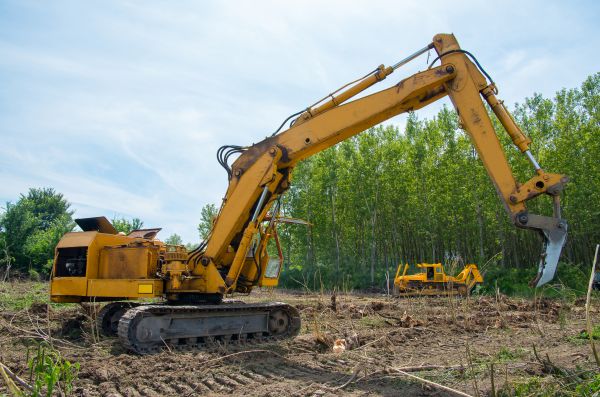Farm Clearing in Clearfield