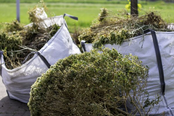 Bushes Clearing in Clearfield