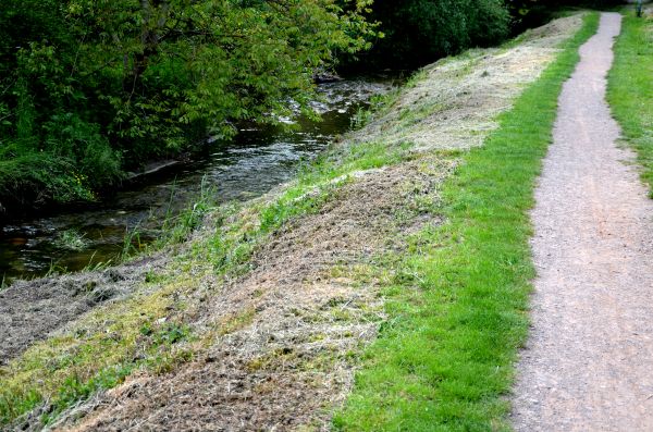 Trail Cutting in Clearfield